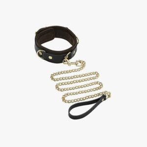 Spartacus Collar & Leash Brown Leather Gold Accent Hardware