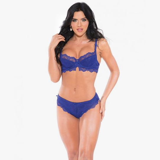 Sheer Mesh Bra & Panty Set Royal Blue 2X